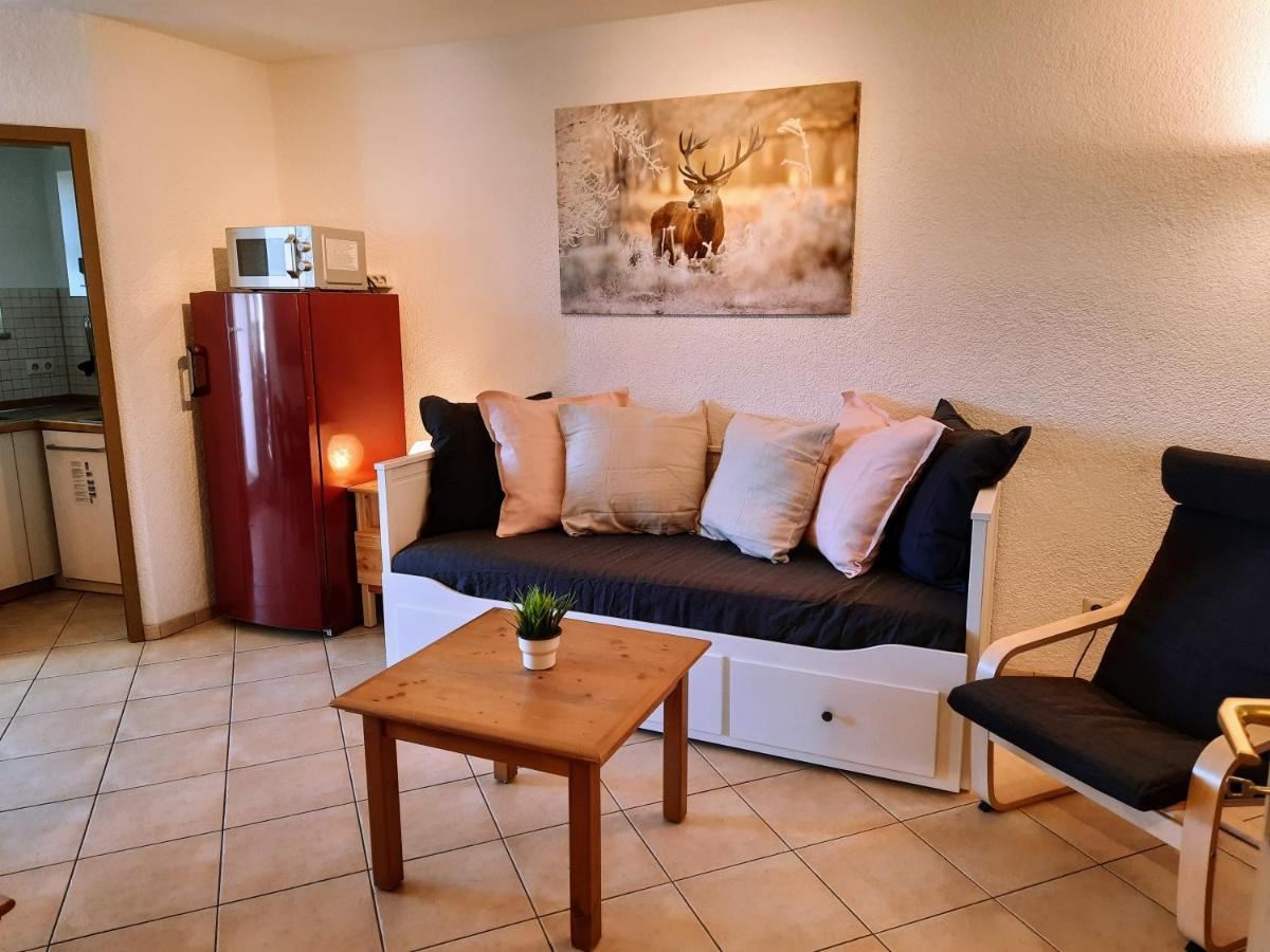 Residenz Schauinsland, Ganzes Appartement, Sauna Todtnau Ngoại thất bức ảnh