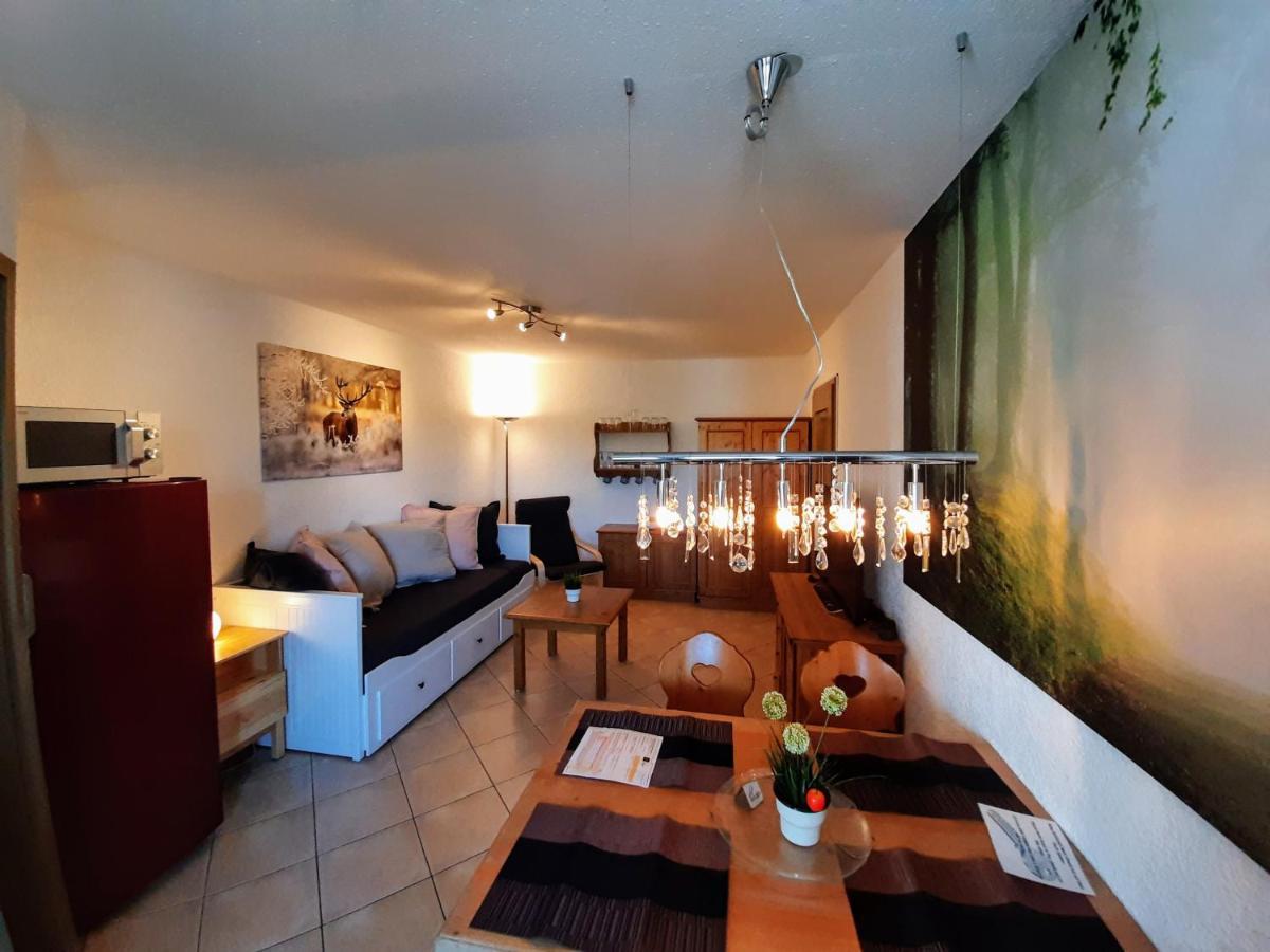 Residenz Schauinsland, Ganzes Appartement, Sauna Todtnau Ngoại thất bức ảnh