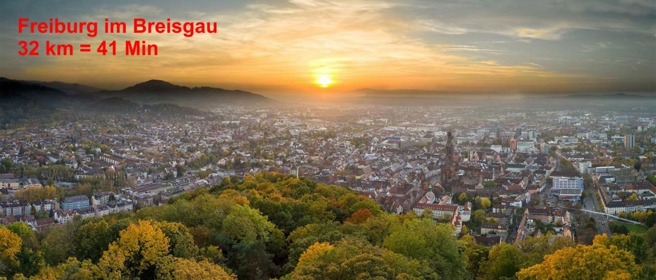 Residenz Schauinsland, Ganzes Appartement, Sauna Todtnau Ngoại thất bức ảnh